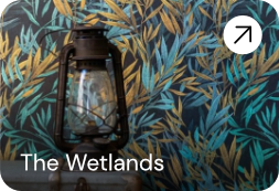 The Wetlands Colelction Page